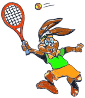 Tennishase